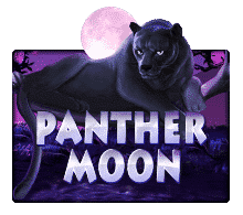 Panther Moon joker slot ทดลองเล่น