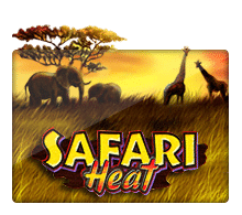 Safari Heat joker slot ทดลองเล่น