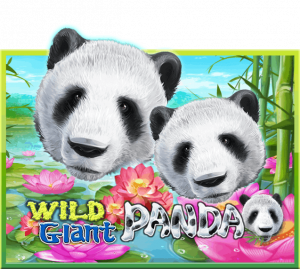 Wild Giant Panda slotxo ทดลองเล่น